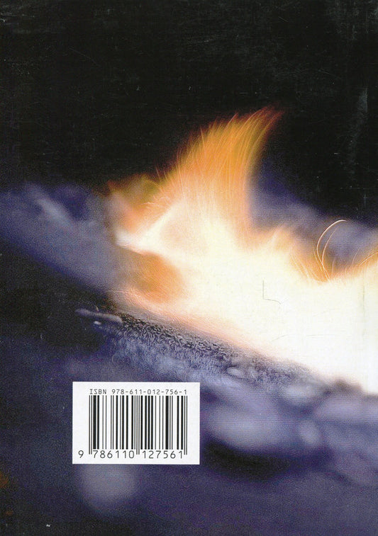 Fire will be born from a spark... / Вогонь родиться з іскри.... Зиновий Кныш 978-611-01-2756-1-2