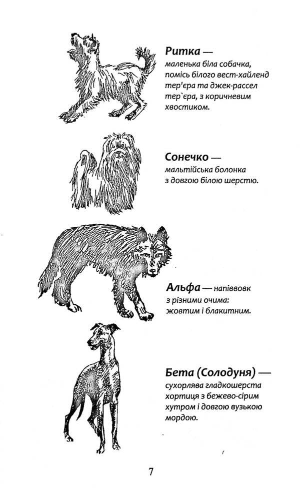 Flock.Book 3. Darkness looms / Зграя. Книга 3. Пітьма насуває Эрин Хантер 9786177877409-6