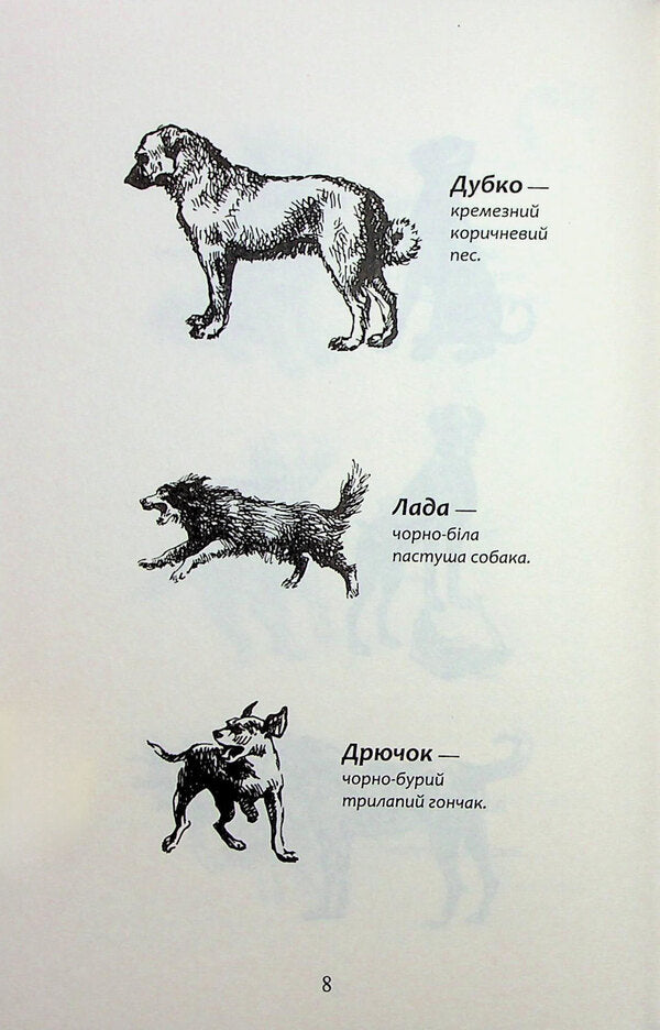 Flock. Eclipse. Book 1. The split pack is / Зграя. Затемнення. Книга 1. Розділена зграя Эрин Хантер 978-617-8387-26-6-6