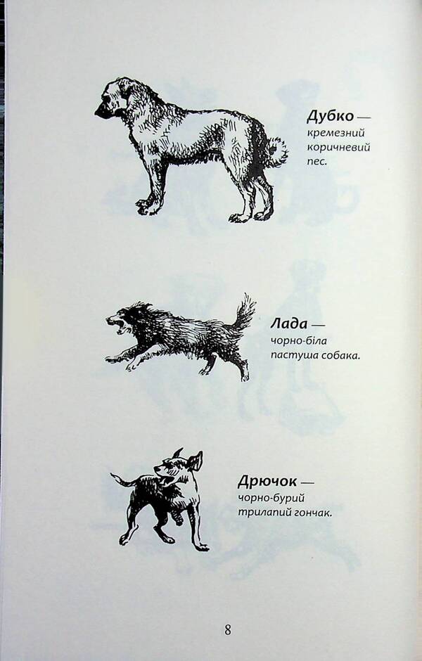 Flock. Eclipse. Book 9. In the fog / Зграя. Затемнення. Книга 9. В імлі Эрин Хантер 9786178387891-6