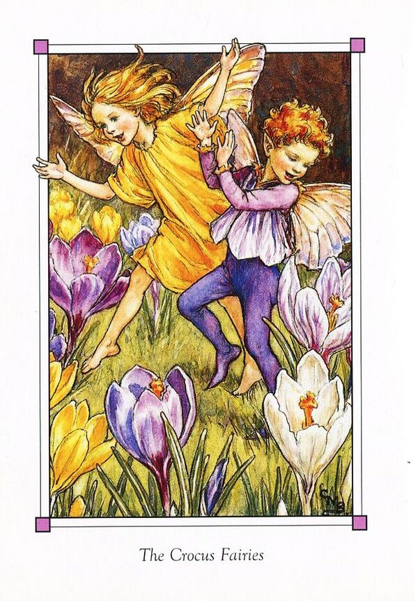 Flower Fairies of the Spring / Flower Fairies of the Spring Сесиль Мэри Баркер 9780241284544-6