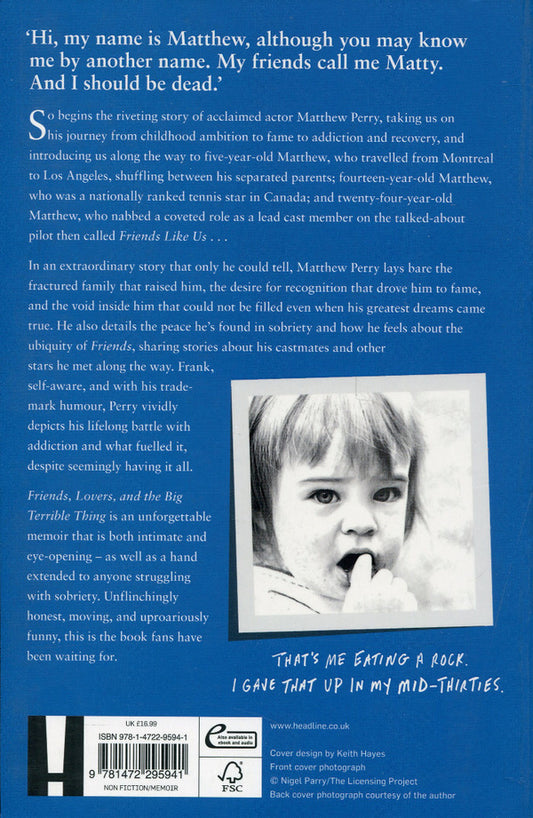 Friends, Lovers and the Big Terrible Thing / Friends, Lovers and the Big Terrible Thing Мэттью Перри 9781472295941-2