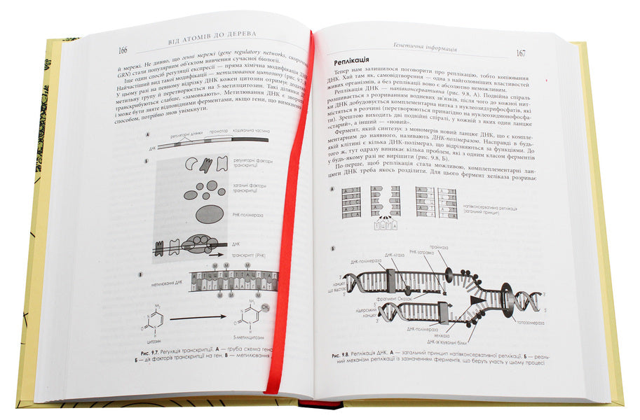 From atoms to wood.Introduction to modern life science / Від атомів до дерева. Вступ до сучасної науки про життя Сергей Ястребов 978-617-09-5903-4-6