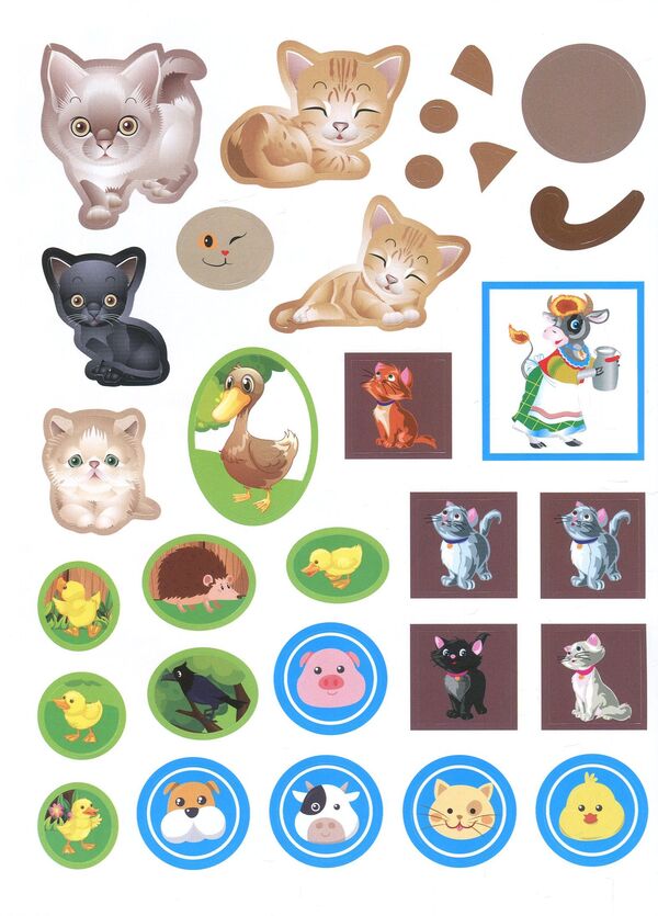 Funny cats. Interactive book with stickers / Веселі котики. Інтерактивна книжка з наліпками Наталья Томашевская 978-966-939-464-4, 978-966-939-463-7-4