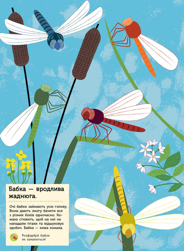 Garden insects / Комахи саду Оливия Косно 978-617-09-4101-5-4
