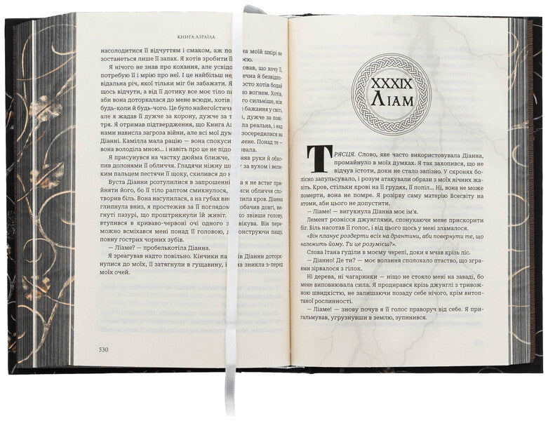 Gods And Monsters. Book 1. Azrael's Book / Боги і монстри. Книга 1. Книга Азраїла Amber V. Nicole / Ембер В. Ніколь 9789661091152-6