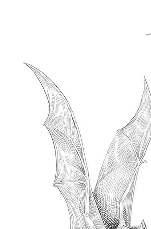 Goth Girl And The Fete Worse Than Death Chris Riddell / Крис Ридделл 9781035022663-6