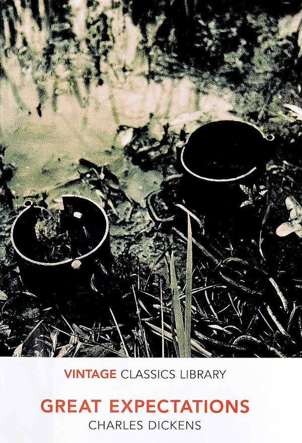 Great Expectations Charles Dickens / Чарльз Диккенс 9781784871642-1