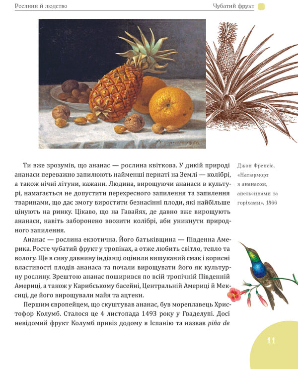 Green wreath of the planet. Plants and humanity / Зелений вінок планети. Рослини й людство Кирилл Булаховский 978-617-7429-52-3-6
