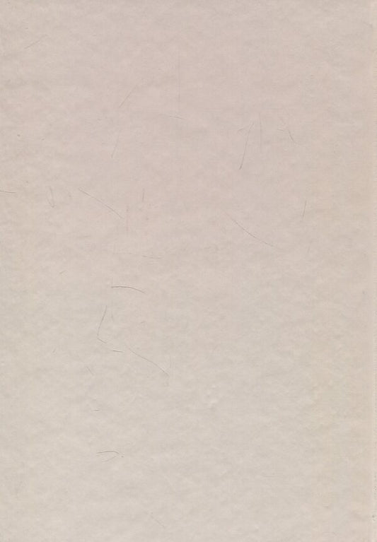 Halych in the history of medieval art based on archaeological research and archival sources / Галич в історії середньовічного мистецтва на основі археологічних досліджень і архівних джерел Иосиф Пеленский 978-966-668-426-7-2