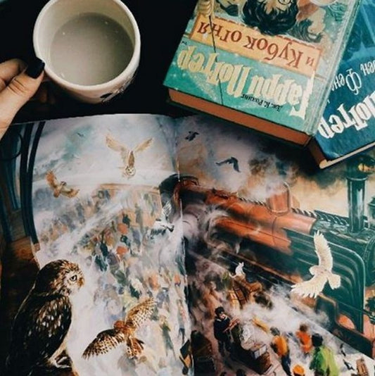 Harry Potter And The Philosopher's Stone.Illustrated Edition / Гаррі Поттер і філософський камінь. Ілюстроване видання Joan Rowling / Джоан Роулінг 9786175851005-2