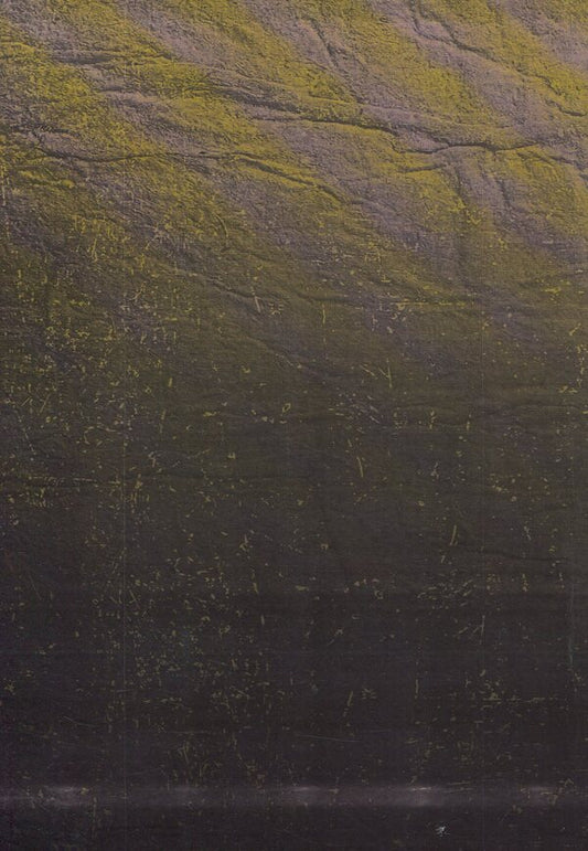 Harvest of Sorrow: Soviet Collectivization and the Holodomor / Жнива скорботи: Радянська колективізація і голодомор Роберт Конквест 978-611-01-1283-3-2