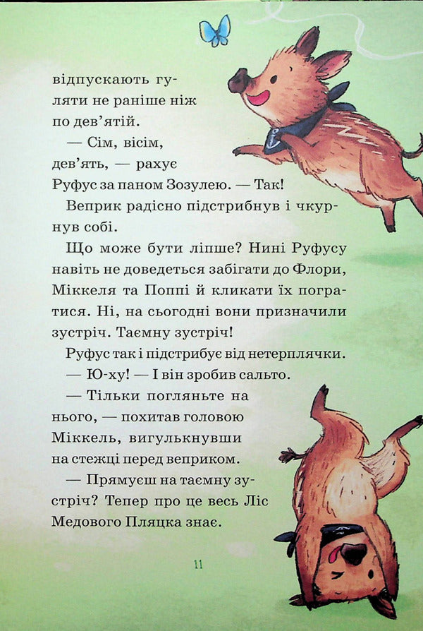 Heroes of the wild forest.Salvation from sadness / Герої дикого лісу. Порятунок від смутку Андреа Шютце 978-966-982-776-0-6