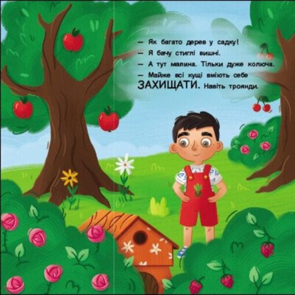 Hide and seek for children (a set of 2 books) / Хованки для малечі (комплект із 2 книг) Наталия Коваль 9786170988836, 9786170988843-6