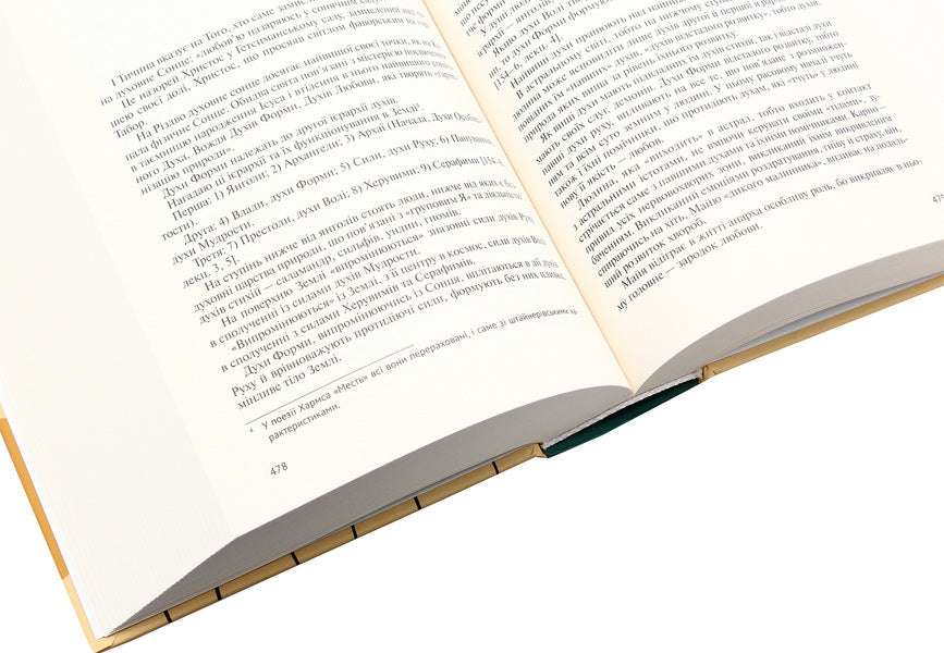 His secret, or the Beautiful bed of the Wave / Його таємниця, або Прекрасна ложа Хвильового Леонид Плющ 978-617-7286-39-3-6