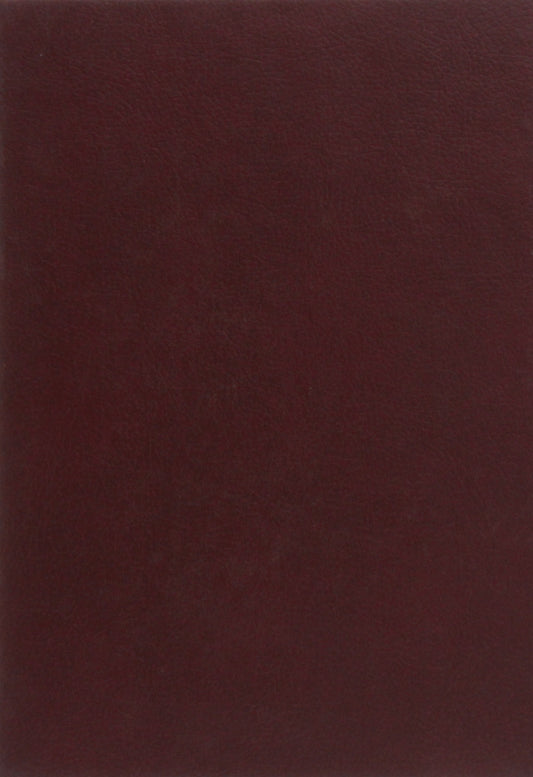 History of Ukraine-Russia / Історія України-Русі Николай Аркас 978-966-2955-29-3-2