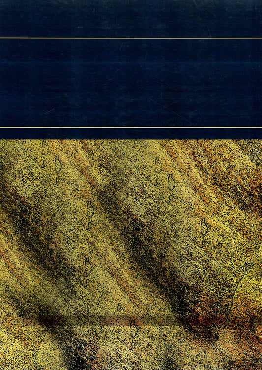 History of the Ukrainian Church / Історія Української Церкви Кость Панас 978-611-01-1404-2-2