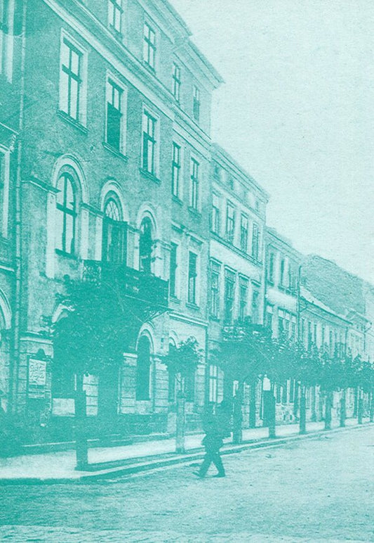 History of the city of Stanislavov / Історія міста Станиславова Петр Исаив 978-966-668-179-2-2