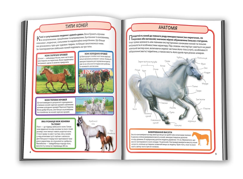 Horses and ponies.50 most famous varieties: Mini-encyclopedia / Коні і поні. 50 найвідоміших різновидів: Міні-енциклопедія 978-966-948-293-8-6
