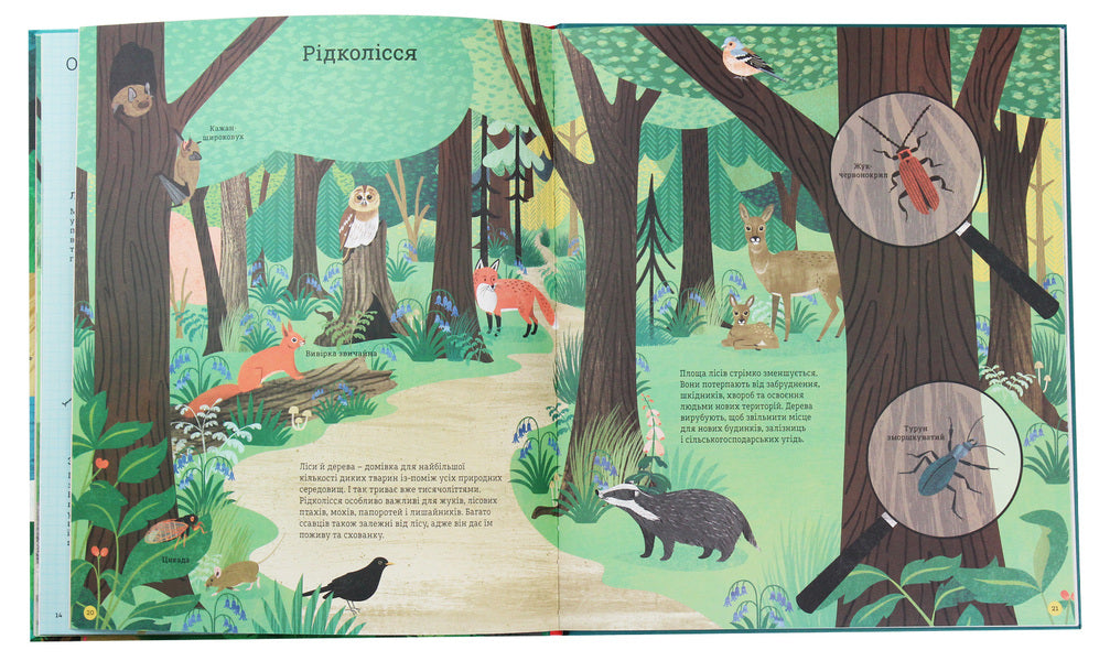 How To Help The Hedgehog And Protect The Polar Bear - Як допомогти жачков та захистити полярного ведмедя Jess French - Джесс Френч 9789669788092-6