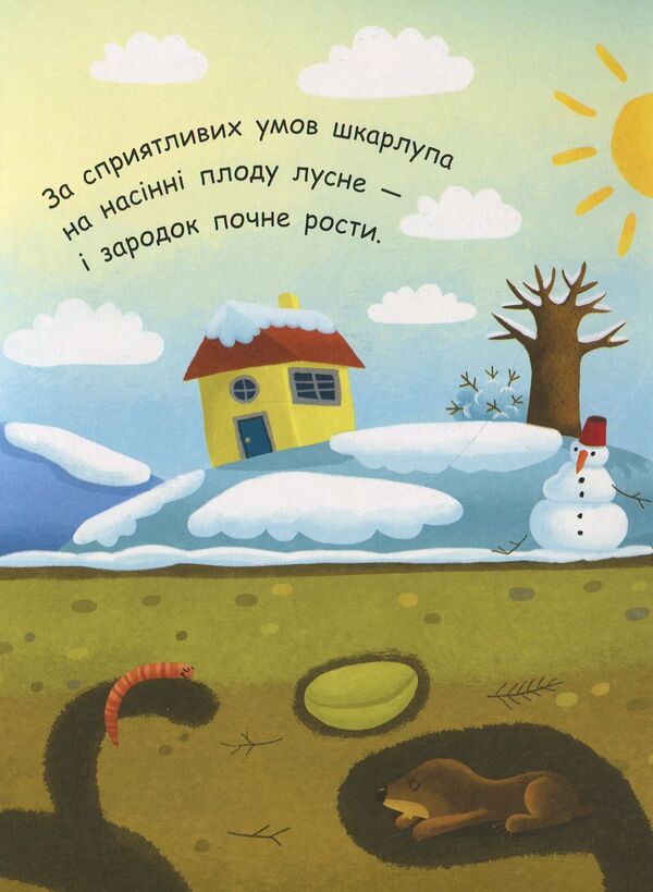 How does a tree grow? / Як виростає дерево? 9789667488291-5