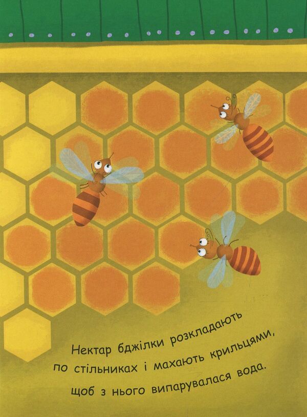 How is honey made? / Як утворюється мед? 9789667488314-5