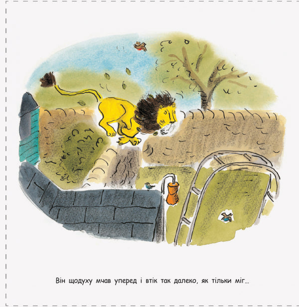 How to hide a lion / Як сховати лева Хелен Стивенс 978-617-09-4311-8-6