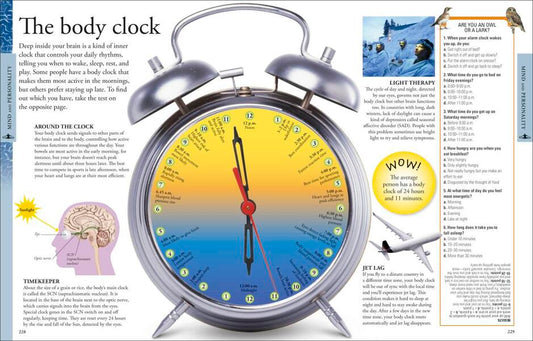 Human Body A Children's Encyclopedia / Human Body A Children's Encyclopedia 9780241323069-2