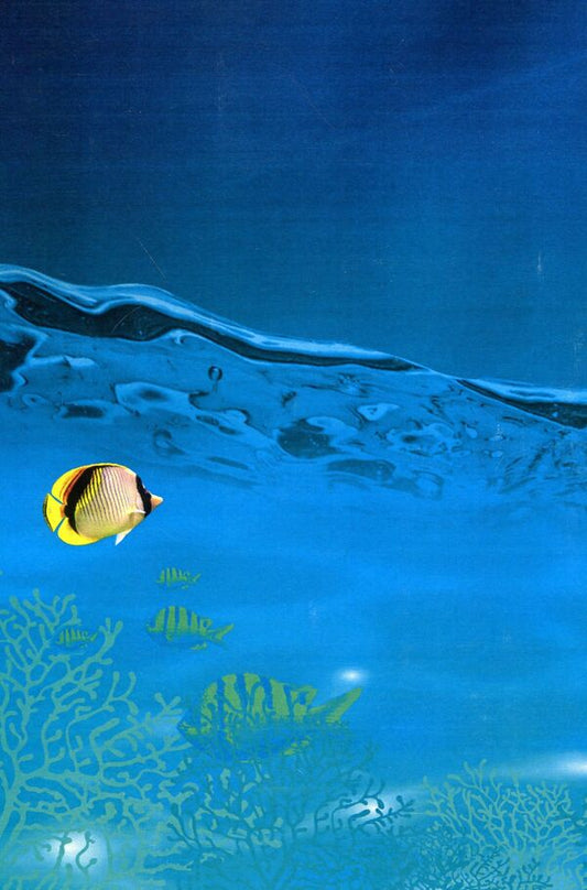 Hydrobiology. Part 1. Textbook / Гідробіологія. Частина 1. Підручник Николай Евтушенко, Мелания Хижняк 978-611-01-1240-6-2