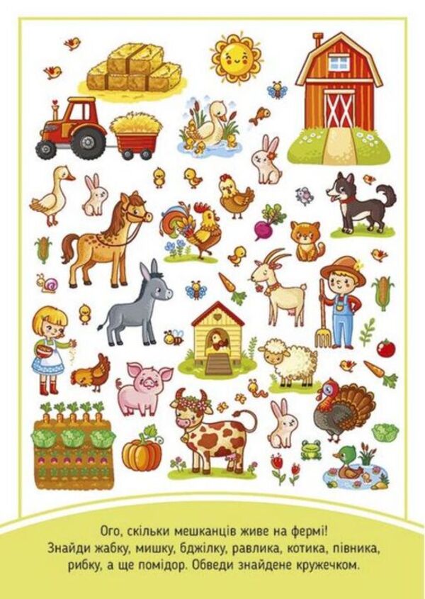 IQ Notebook (set of 4 books) / IQ Блокнот (комплект із 4 книг) 9786177693887-6