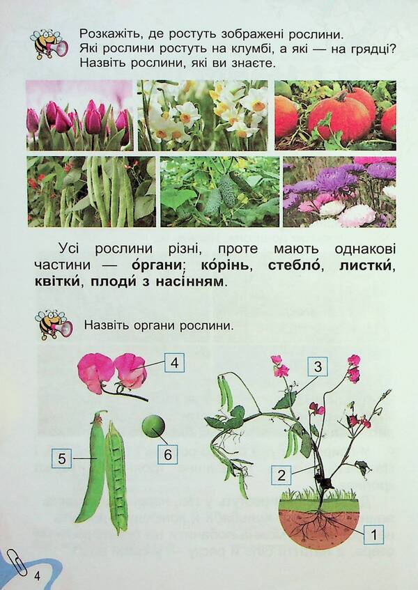 I explore the world. 1st class. Textbook of the integrated course in 2 parts. Part 2 / Я досліджую світ. 1 клас. Підручник з інтегрованого курсу в 2-х частинах. Частина 2 Татьяна Гильберг, Нина Павич, Светлана Тарнавская 978-966-11-1321-2-6