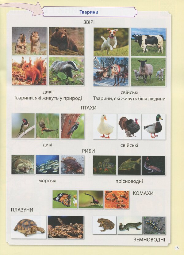 I explore the world. Atlas with maps and tasks. 3rd grade / Я досліджую світ. Атлас із картами і завданнями. 3 клас 978-617-09-6245-4-6