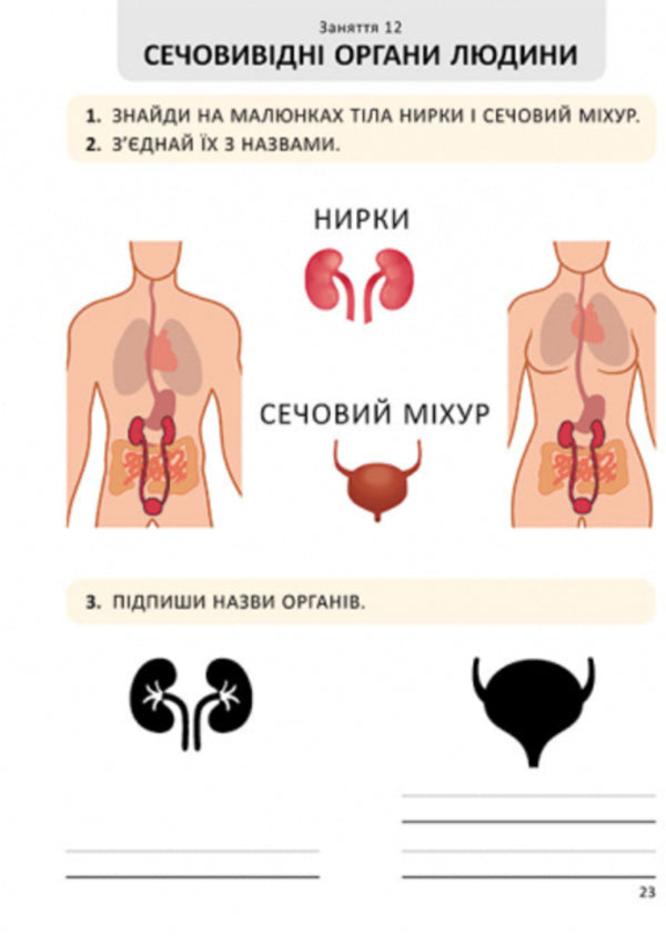I'm growing up. Sexual education. A workbook. Step 2 / Я дорослішаю. Статеве виховання. Робочий зошит. Крок 2 Наталия Никоненко, Венера Шевченко 978-617-09-5464-0-5