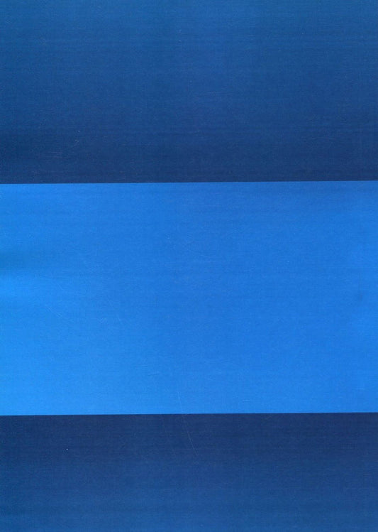 Immunotherapy / Иммунотерапия Дмитрий Мальцев 978-611-01-1131-7-2