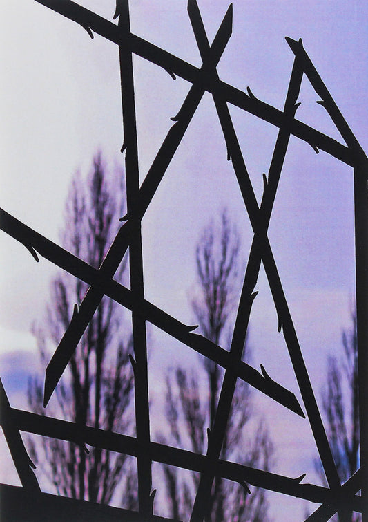 In the clutches of Nazi tyrants. Memoirs of a prisoner 11961 / В кігтях нацистських тиранів. Спогади в'язня 11961 Иван Стасив 978-611-01-2020-3-2