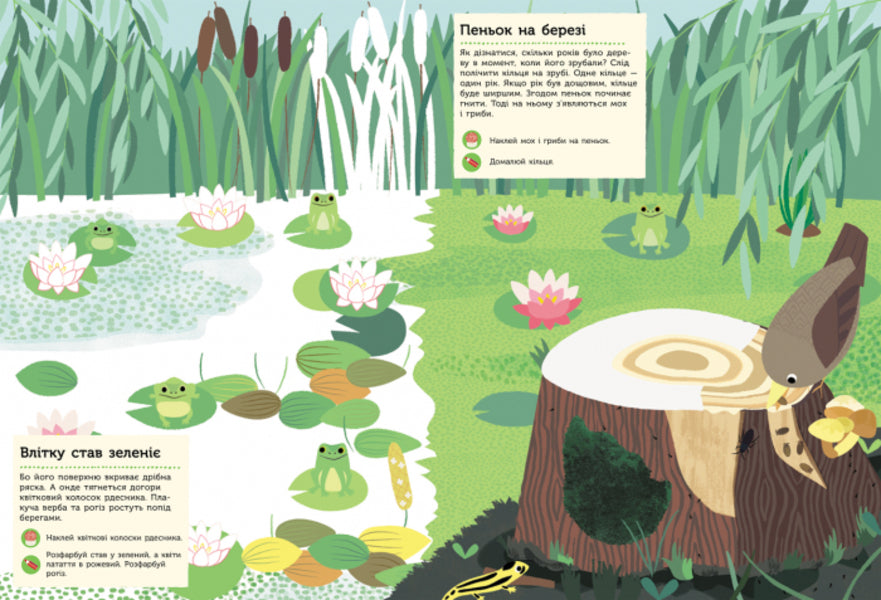 In the forest / У лісі Оливия Косно 978-617-09-4097-1-5