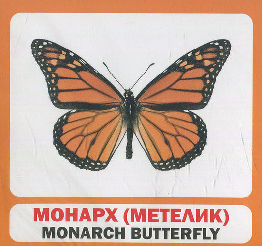 Insects. Set Of Cards / Комахи. Набір карток / Author not specified 9789669751850-2