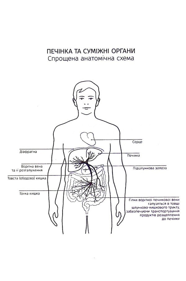 Inside story.The hidden powers of your liver / Внутрішня історія. Приховані сили вашої печінки Габриэль Перлемутер 978-617-12-9779-1-6