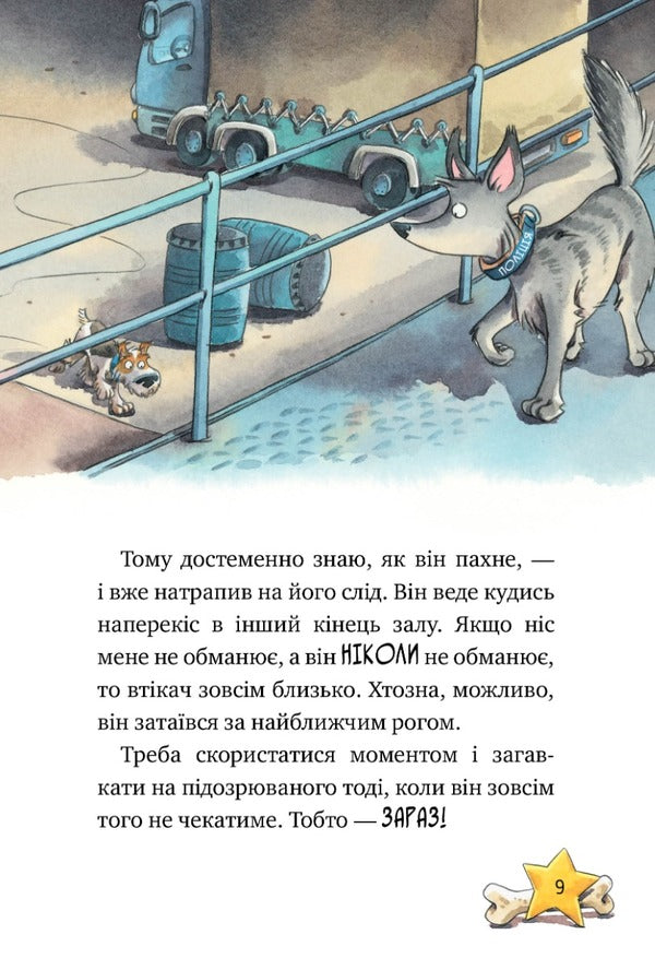 Inspector Lap. Book 2. Following the diamond thief / Інспектор Лап. Книга 2. Услід за викрадачкою діамантів Катя Райдер 978-617-8280-66-6-6