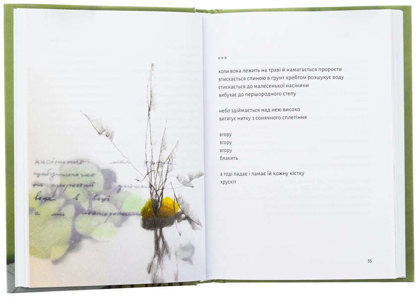 Instead Of Apples / Замість яблук Ivanna Skyba-Yakubova / Иванна Скиба-Якубова 9789664483473-6