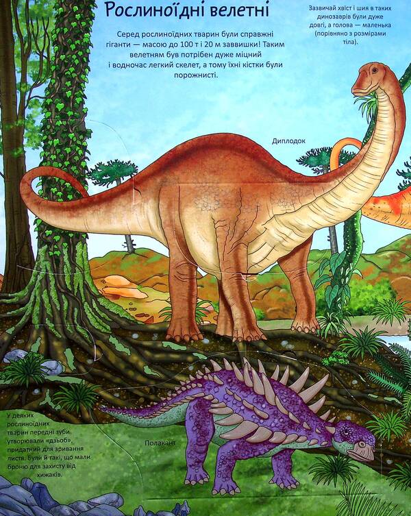 Interesting inside.Dinosaurs / Цікаве всередині. Динозаври Элеонора Барзотти 9789669890122-6