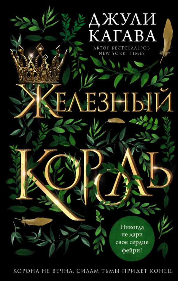 Iron King Book 1 - Железный король Книга 1 Julie Kagawa - Джули Кагава Does not apply-1