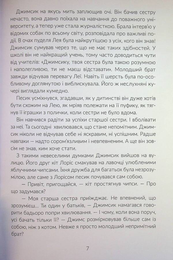 Jimsyk is looking for a profession / Джимсик у пошуках професії Ольга Птаха 9789660745230-6
