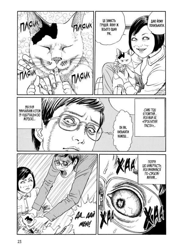 Junji Itos Cat Diary: Yon And Mu - Котячий щоденник Джюндж то: Йон та Му Junji Ito - Джундж то 9786178485245-5