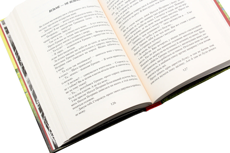 Jury Book 4. Jura and Shaggy / Джури. Книга 4. Джури і кудлатик Владимир Рутковский 978-617-585-089-3-6