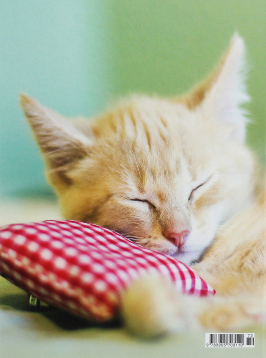 Kitten / Kitten 978-3-95570-311-0-2