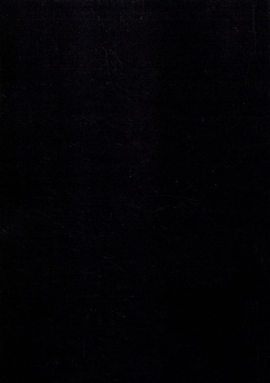 Kyiv necropolis. Guidebook / Київський некрополь. Путівник-довідник Людмила Проценко 978-611-01-1405-9-2