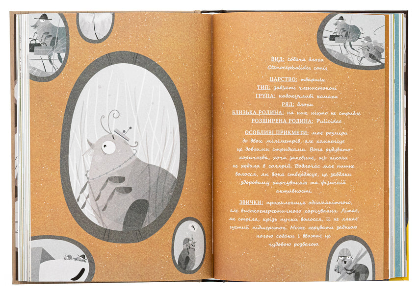 Large insects. The story of those who grew wings / Великі комахи. Історія тих, хто відростив крила Барбара Супель 978-617-09-9127-0-6