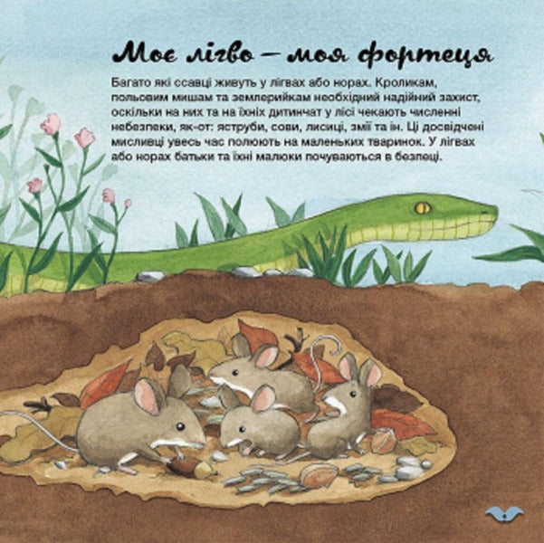 Learn About The World With Us! How Do Animals Arrange Their Homes? - Дзнавайся про свт разом з нами! Як тварини облаштовують сво домвки? Alejandro Algarra, Rocio Bonilla - Алехандро Альгарра, Росо Бонлья 9786170964052-6