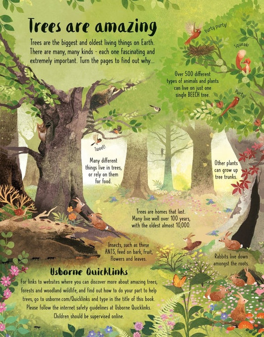 Lift-the-Flap Trees / Lift-the-Flap Trees Эмили Боун 9781474986137-2